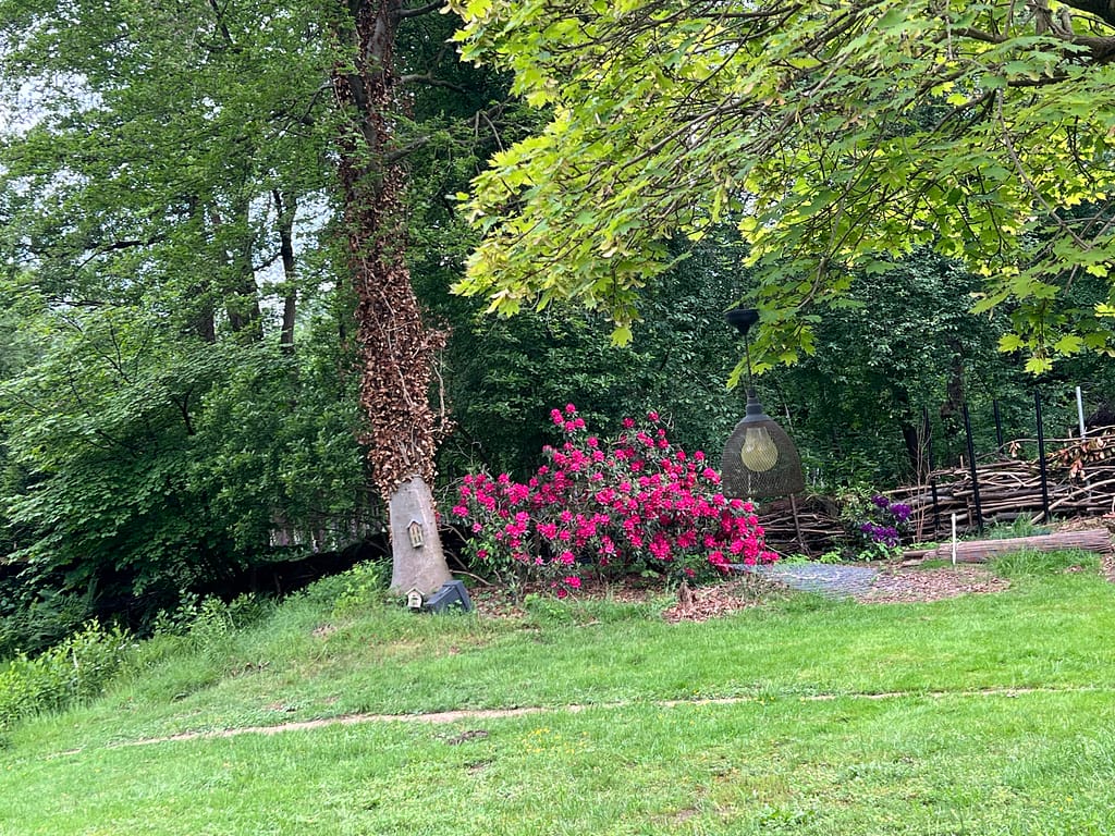 Coaching in Kempen-Broek