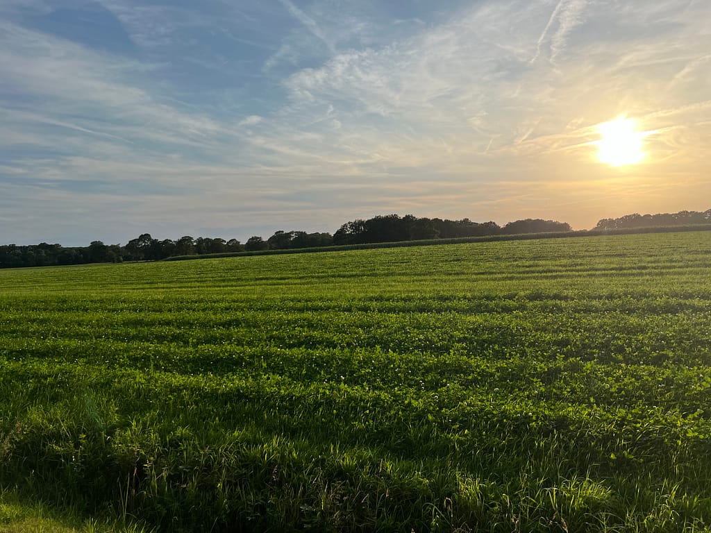 Wandelcoaching in de natuur