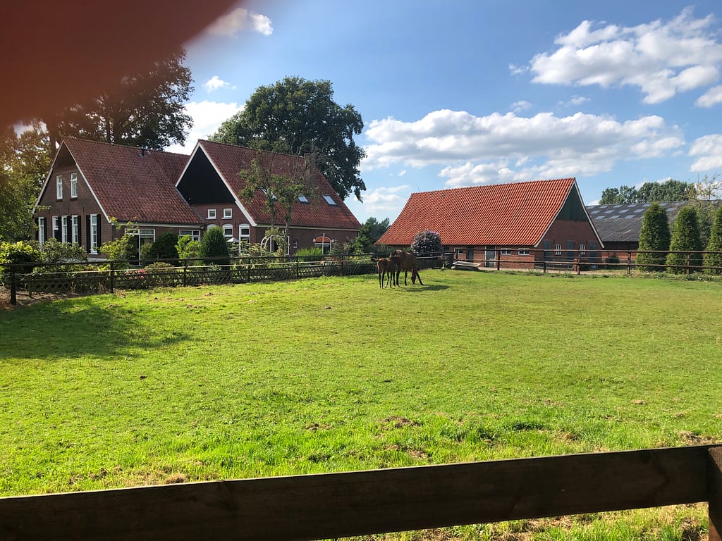 Coaching en natuur