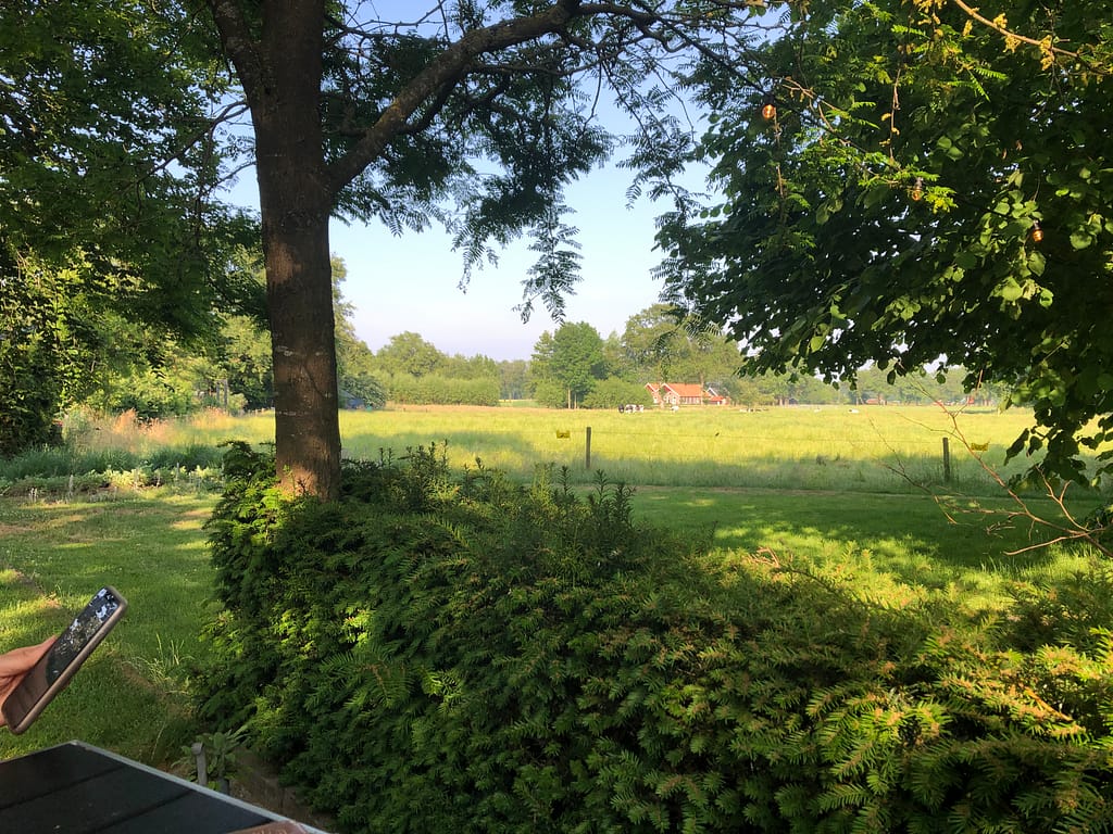 Wandelcoaching traject