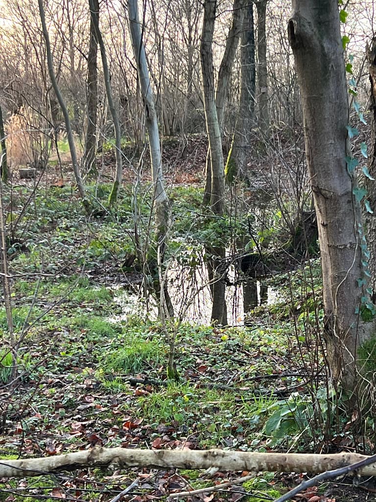 Wandelroute Achterhoek